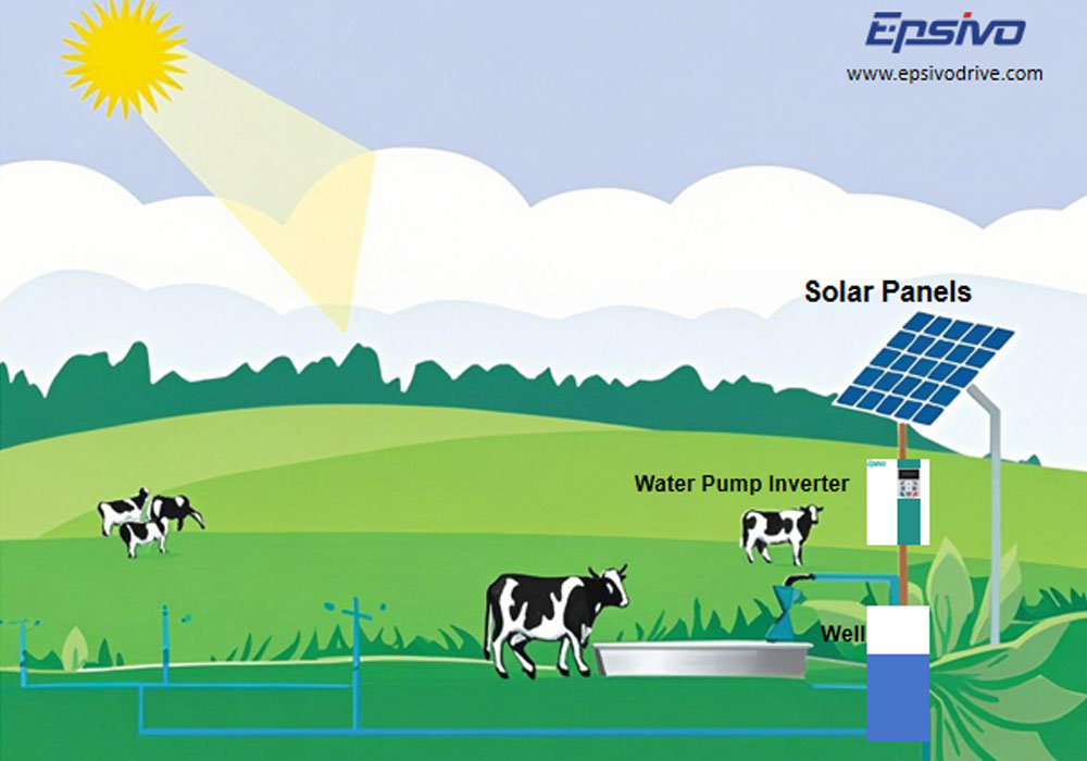 3-Water-supply-for-livestock